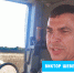 Репортаж об аткарских подсолнухах вышел на телеканале НТВ - Газета Аткарская газета