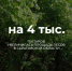 Итоги 2024 года в цифрах. Часть № 4. - Газета Аткарская газета