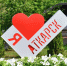 За год индекс качества городской среды в Аткарске вырос на 11 пунктов - Газета Аткарская газета