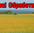 ООО «Грачевка» в Татищевском районе уведомляет о применении пестицидов и агрохимикатов - Газета Аткарская газета